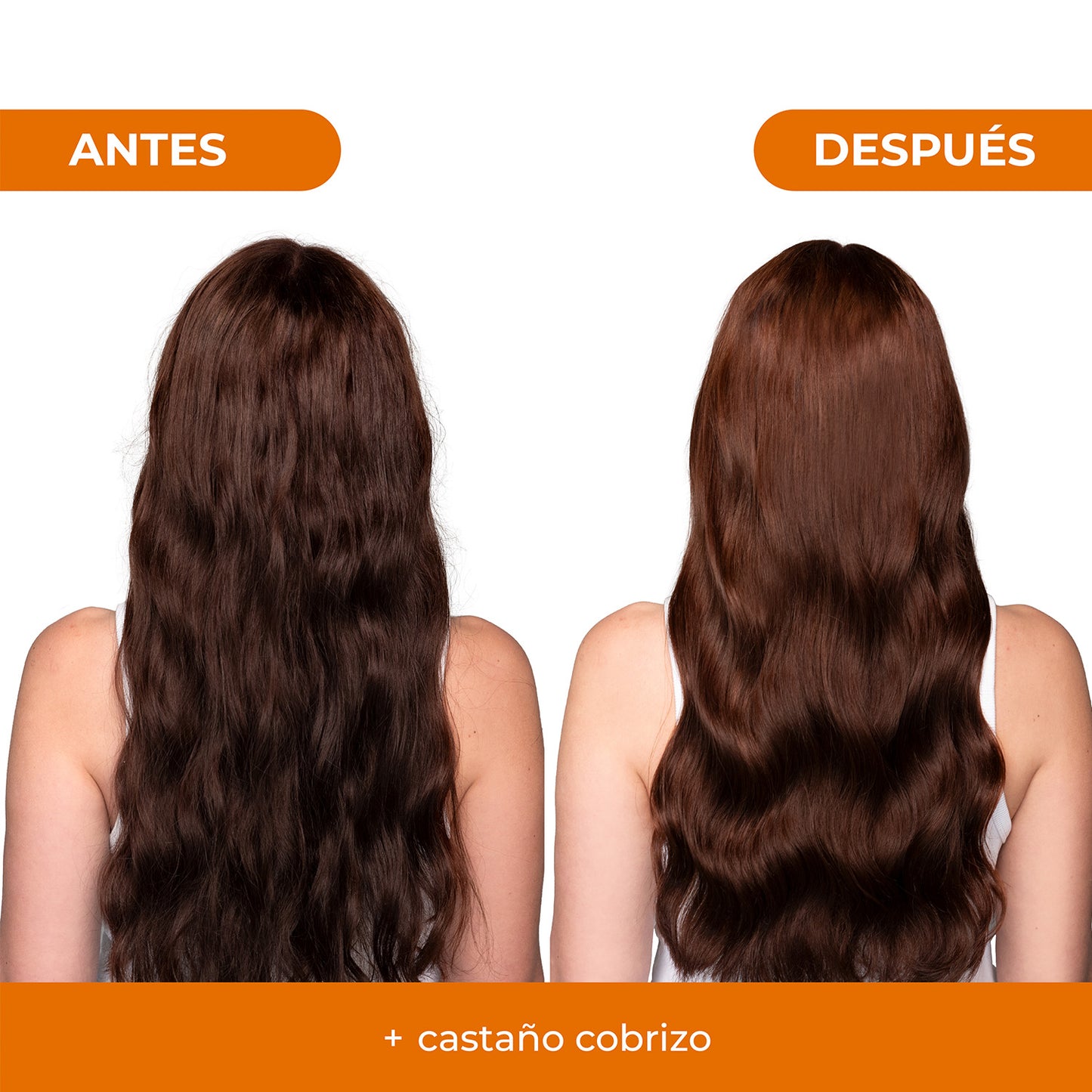 Tratamiento Capilar 1 Mascarillas + 1 Shampoo Castaño chocolate Naissant 300ml c/u