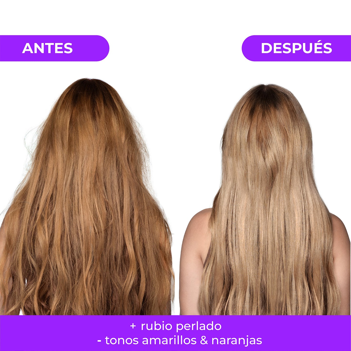 Tratamiento Capilar 2 Mascarillas + 1 Shampoo matizador Rubio dorado Naissant 300ml c/u